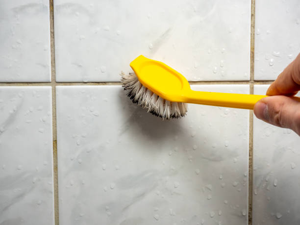 Best Same-Day Mold Removal  in Vernon, AL