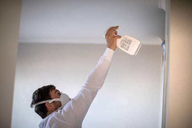 Best Commercial Mold Removal  in Vernon, AL