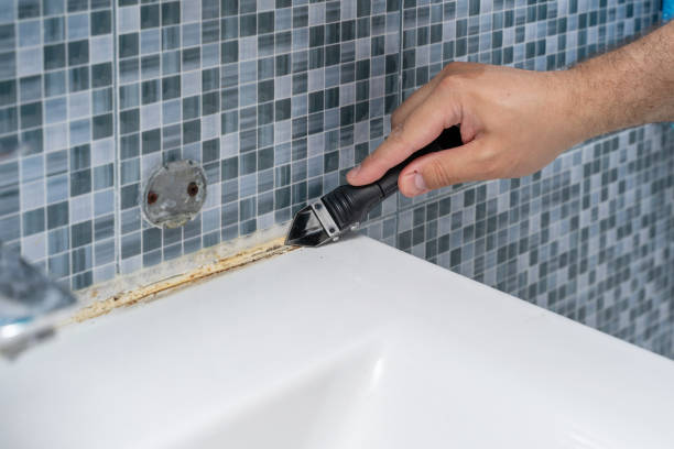 Best Local Mold Removal Service  in Vernon, AL